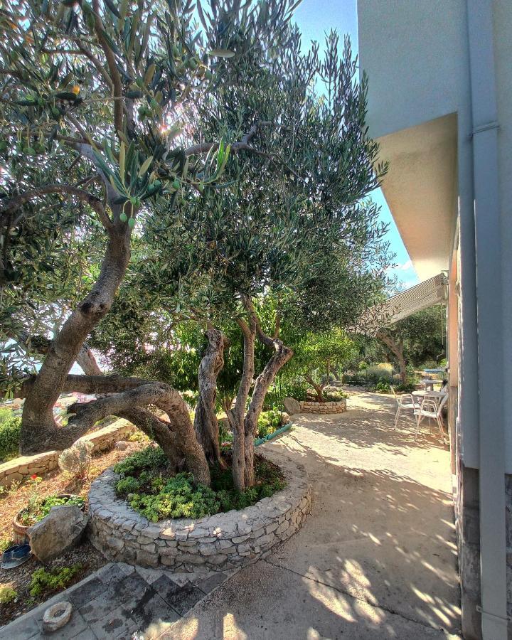 Casa del Olivo Tučepi Exterior foto